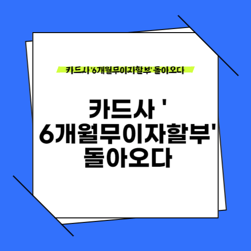 카드사 6개월무이자할부 돌아오다.