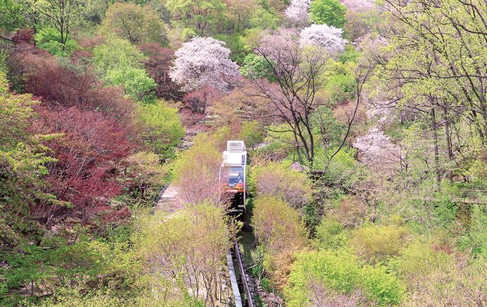 화담숲 예약, 이렇게 하면 실패 없다!